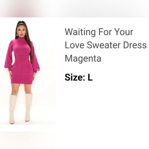 Sweater Dress.  Pink.  Bodice laced waist.  Large.  Sexy.  Stretchy.